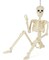 36 Inch Skeleton Halloween Decor, Halloween Skeleton with Movable Joint, Skeleton for Halloween Haunted House Accessories Bar Graveyard, Party Supplies, Halloween Decoration Outdoor Skeleton